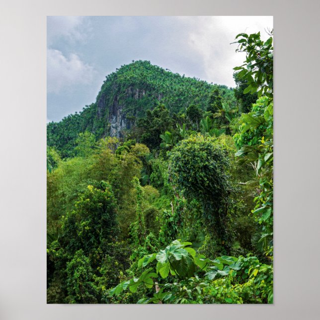Poster Forêt tropicale luxuriante et pic El Yunque (Devant)