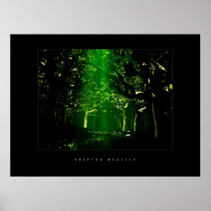 Poster Forêt verte