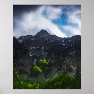 Poster Forêt verte éclairée par le soleil sous les montag