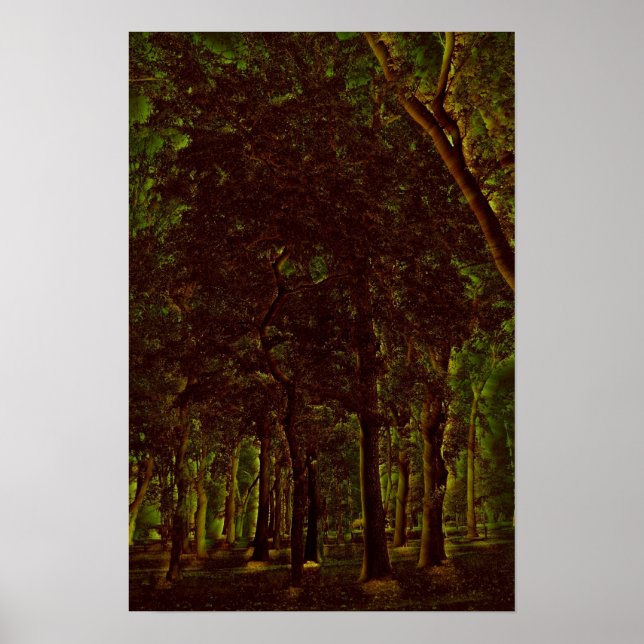 Poster Forêt verte foncée (Devant)