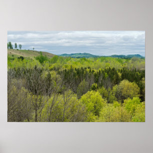 Poster Forêts et collines de Black River Falls Wisconsin