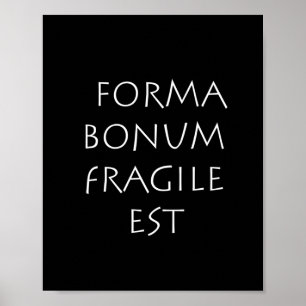 Poster Forma bonum fragile