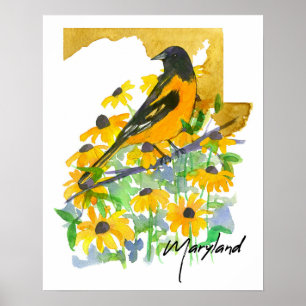 Poster Forme de l'État du Maryland Baltimore Oriole Susan