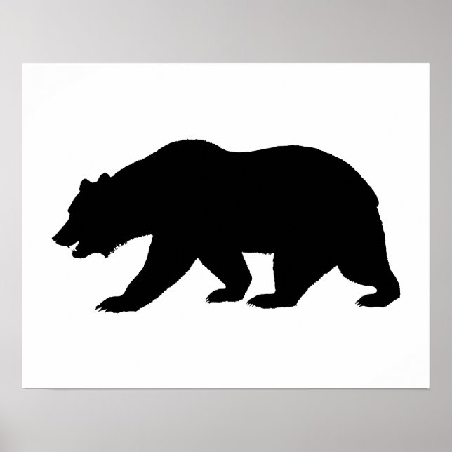 Poster Forme de l'ours (Devant)
