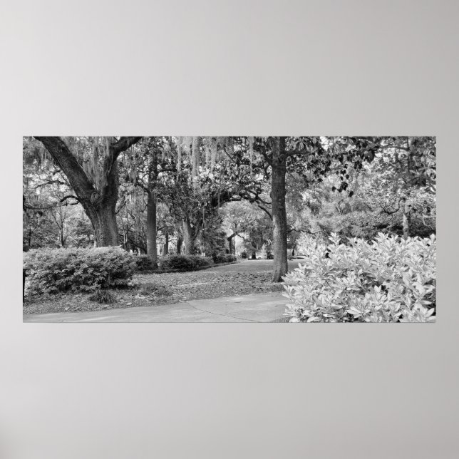 Poster Forsyth Park, Savannah Ga (Devant)