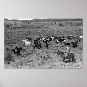 Poster Fort Rock, Oregon Cowboy dans le jardin du diable