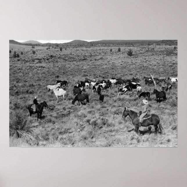 Poster Fort Rock, Oregon Cowboy dans le jardin du diable (Devant)