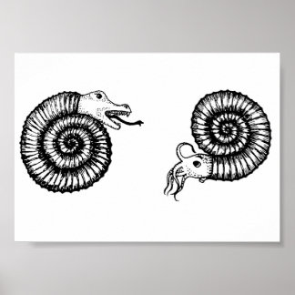 Poster Fossil : Snakestone ou Ammonite ?