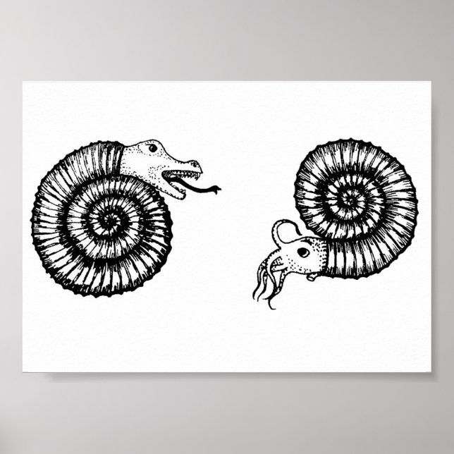 Poster Fossil : Snakestone ou Ammonite ? (Devant)