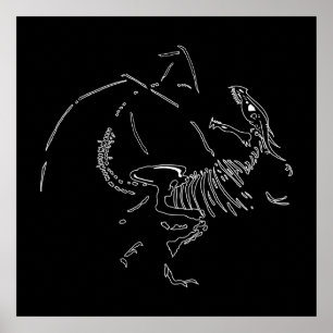 Poster Fossiles dragons