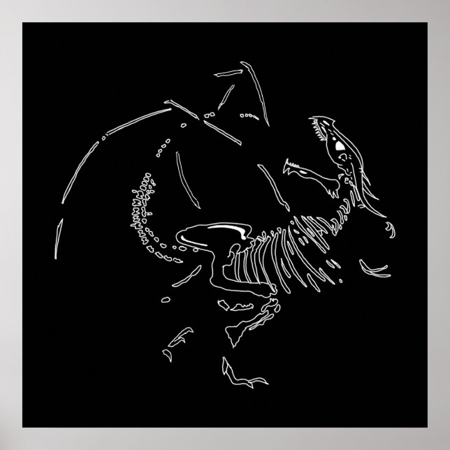 Poster Fossiles dragons (Devant)