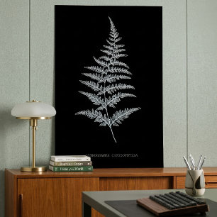 Poster Fougère dorée, Gymnogramma Chrysophylla