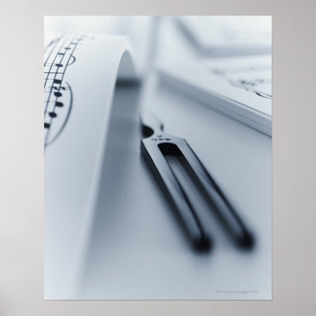 Poster Fourche de réglage (Devant)