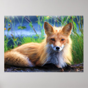 Poster Fox