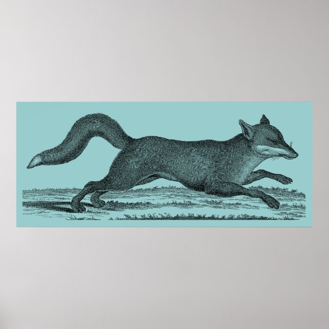 Poster Fox (Devant)
