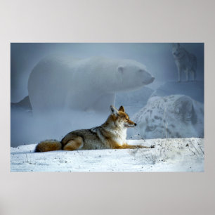 Poster Fox et amis