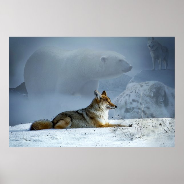 Poster Fox et amis (Devant)