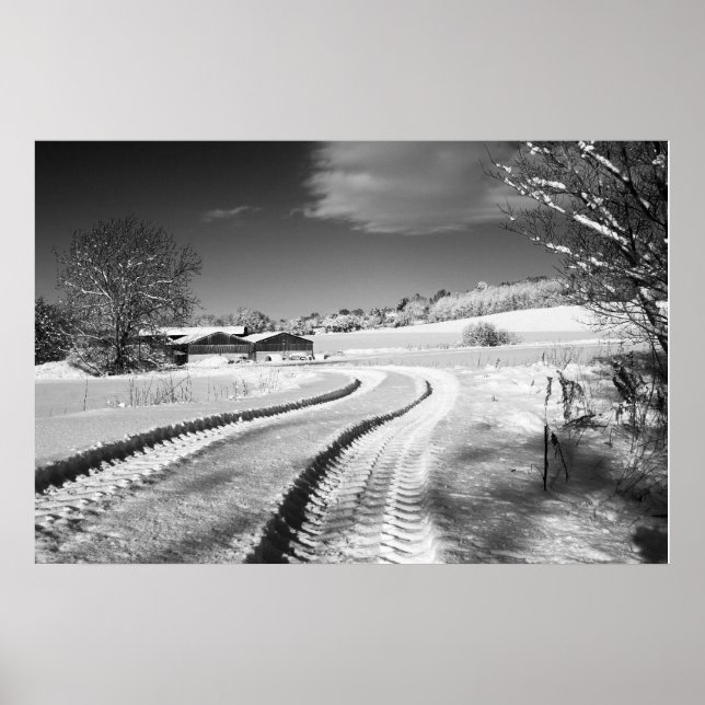 Poster Fox Hill Farm (Devant)