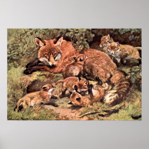 Poster Fox Vixen with Cubs by Austen, Vintage Wild Animal