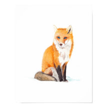 Poster Fox Watercolor