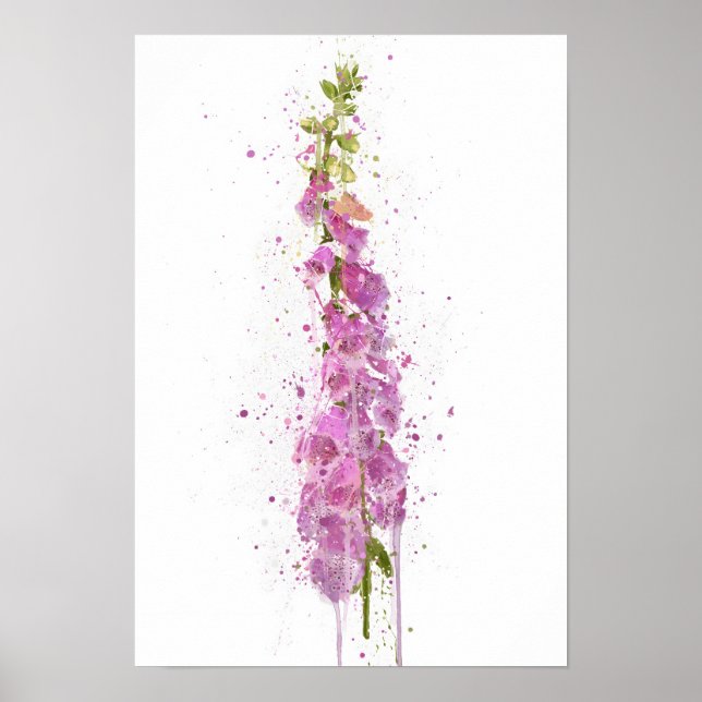 Poster Foxglove (Devant)