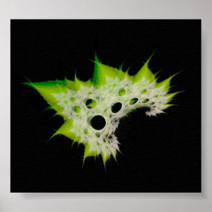 Poster Fract~Plant