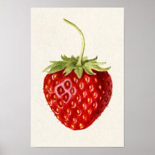 Poster Fragaria (fraise) Peinture à l'aquarelle des fruit