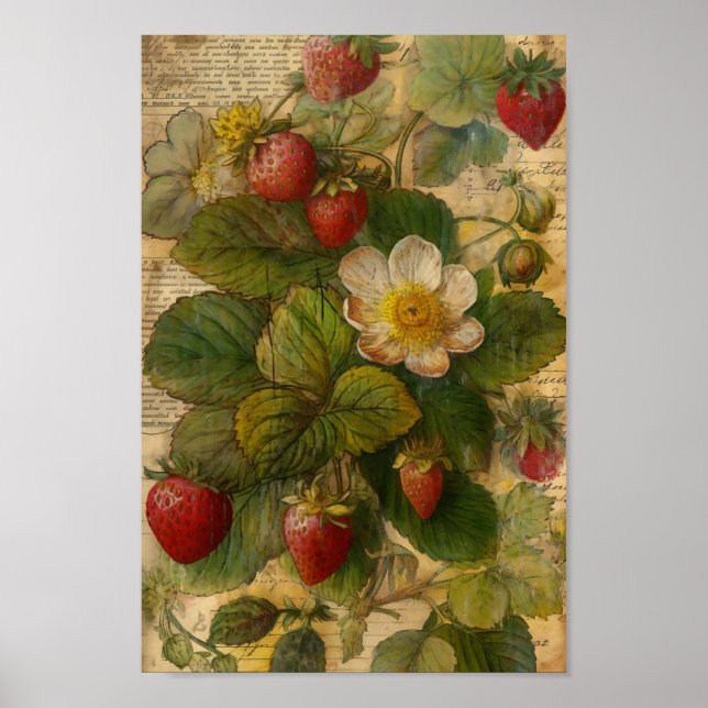 Poster Fraises (Devant)