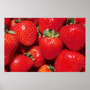 Poster Fraises