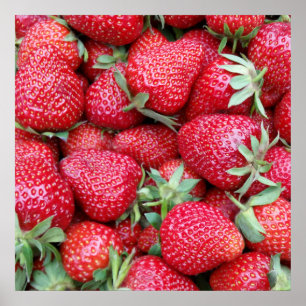 Poster fraises fraîches 1