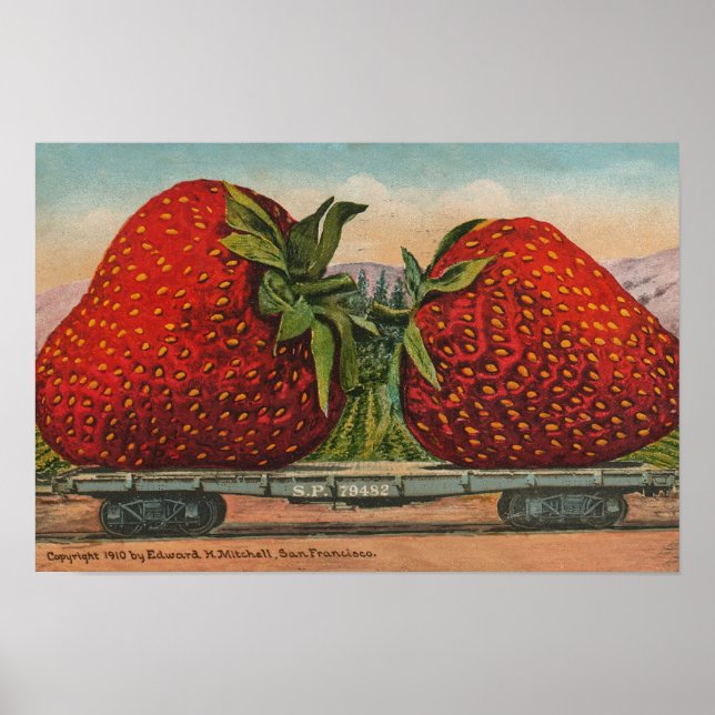 Poster Fraises Géant Antique Fruit Amusant (Devant)