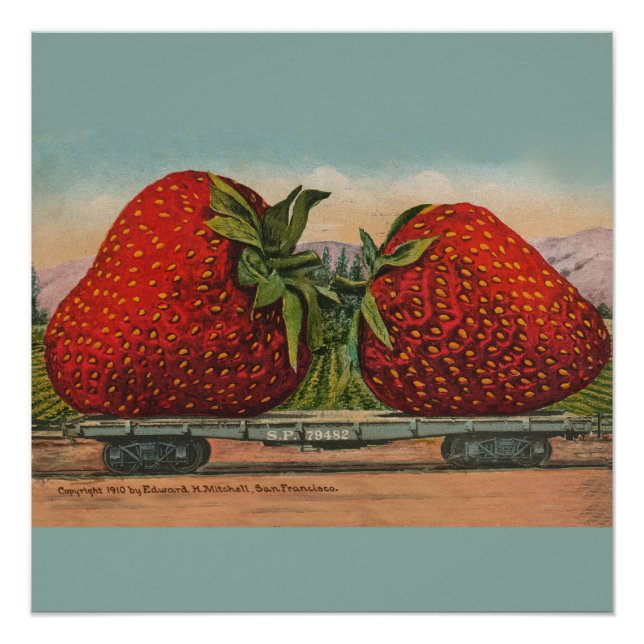 Poster Fraises Giant Fruit Antique Fruit Amusant (Devant)