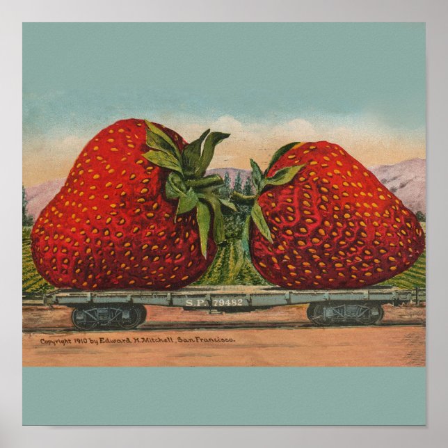 Poster Fraises Giant Fruit Antique Fruit Amusant (Devant)