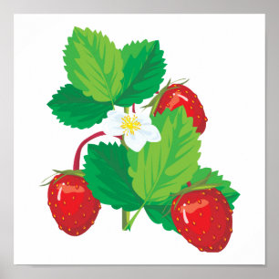 Poster fraises juteuses