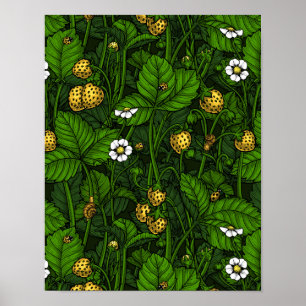 Poster Fraises sauvages, jaunes et vertes