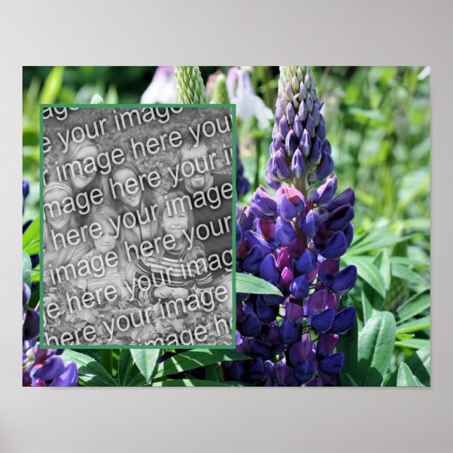 Poster Frame de Lupine violette Ajoutez votre photo (Devant)