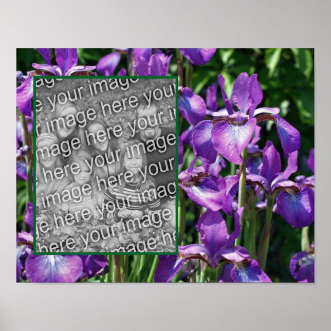 Poster Frame Iris Fleurs Portes Violet Ajouter Votre Phot (Devant)