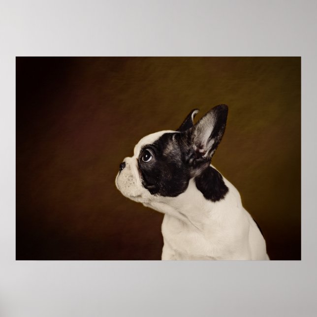 Poster Français (Devant)