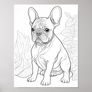 Poster Français Bulldog Adulte Coloration