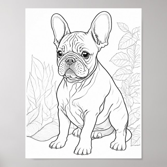Poster Français Bulldog Adulte Coloration (Devant)