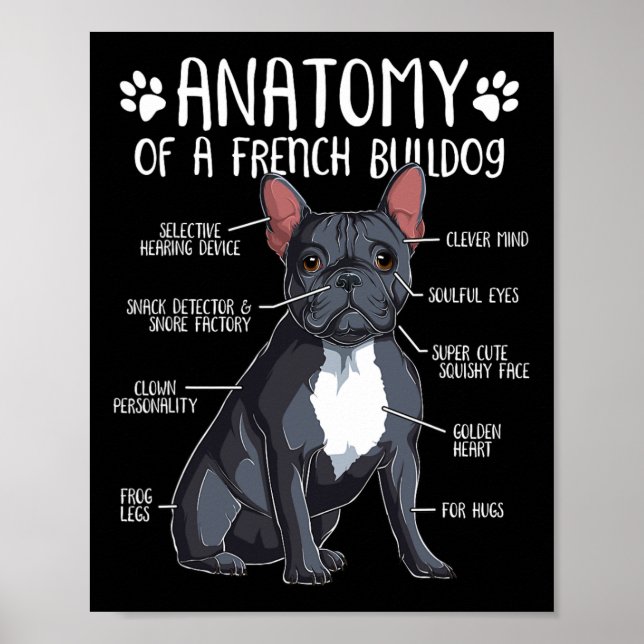 Poster Français Bulldog Anatomie Français Amoureux des ch (Devant)