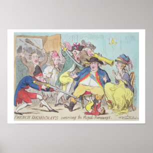 Poster "Français Démocrate étonnants les emballements