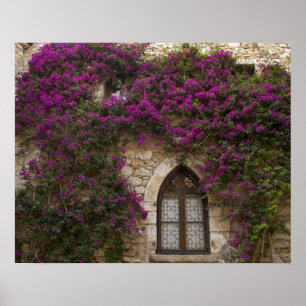 Poster France, Provence, Èze. Rose vif