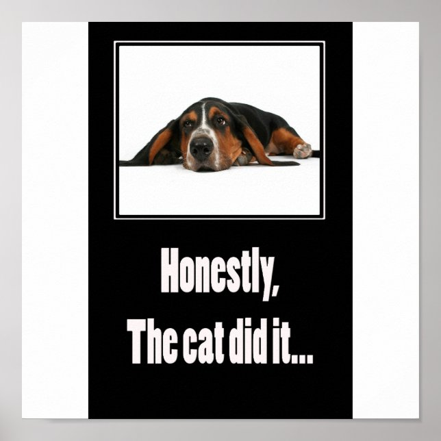 Poster Franchement, le chat l'a fait... (Devant)
