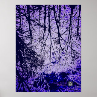 Poster Franges neuronales