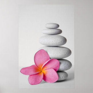 Poster Frangipani Calme