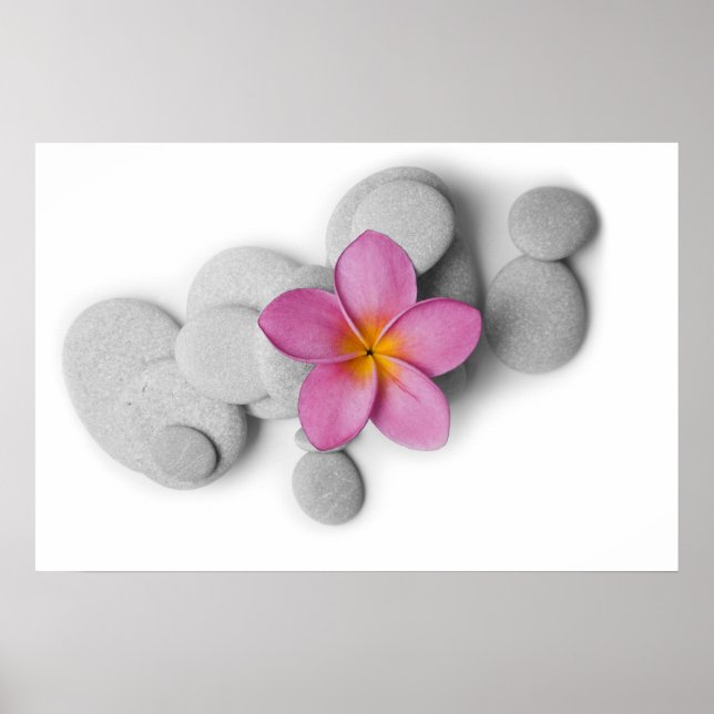 Poster Frangipani et galets (Devant)