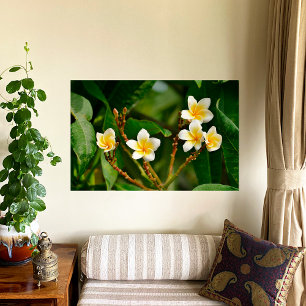 Poster Frangipani jaune