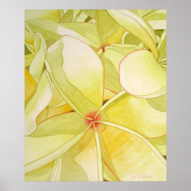 Poster Frangipani jaune citron (Devant)