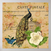 franical camellia birdcage vintage peacock